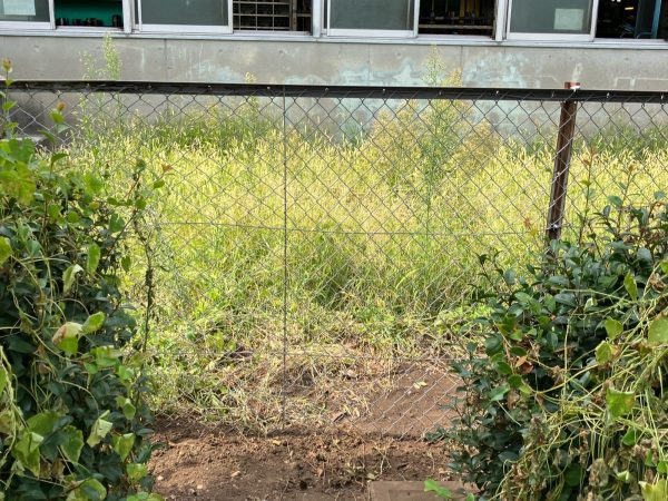 a1 厚木市N様 250166 フェンス補修