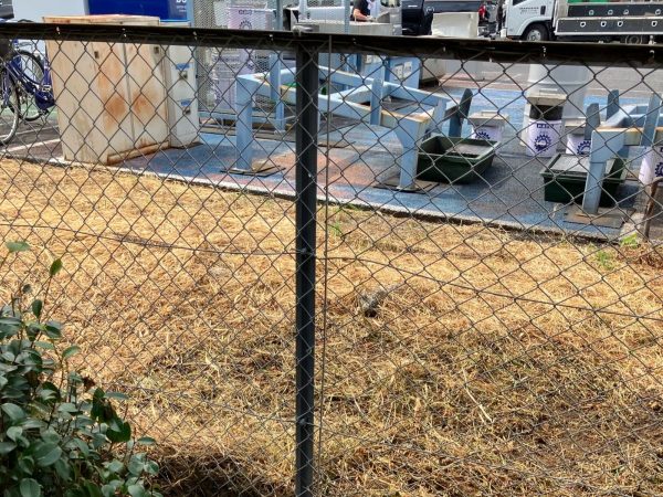 a5 厚木市N様 250166 フェンス補修